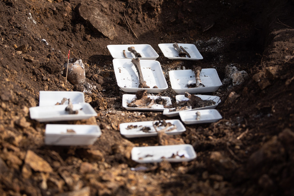 Restos desaparecidos