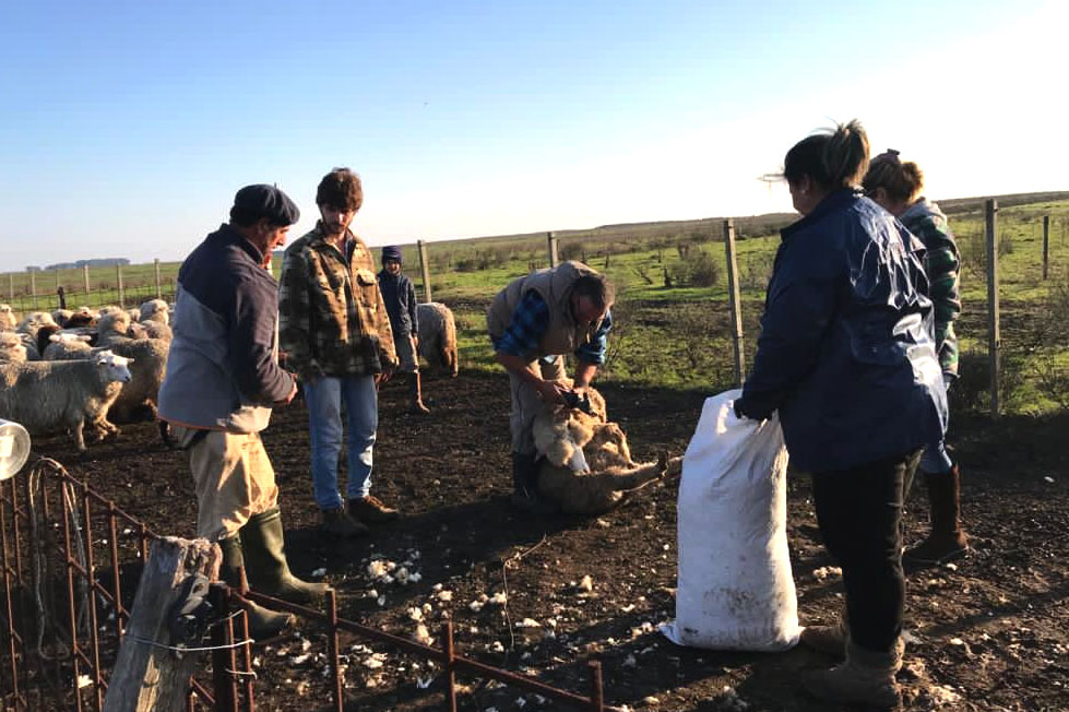 Dia del trabajador rural