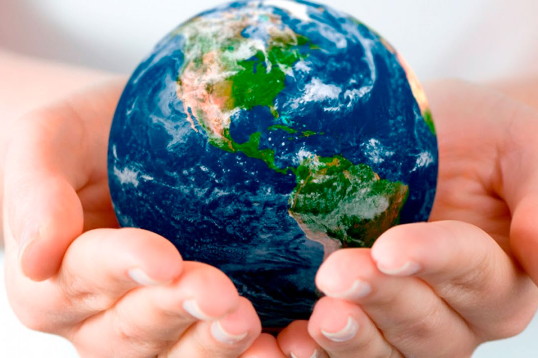 medio ambiente