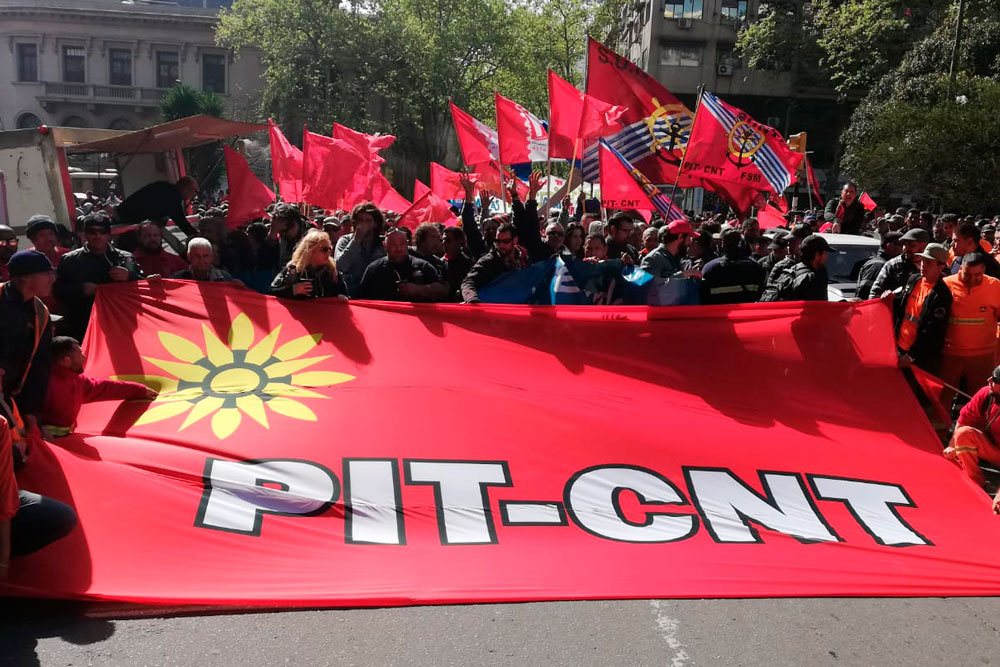 PIT-CNT